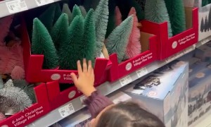 Girl Falls In Front of Santa