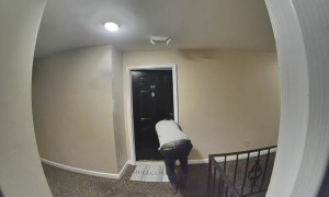 Drunk Neighbor's Fall Caught on Doorbell Cam