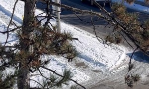 Canadian Drivers Prevent Crashes While Sliding On Slick Road