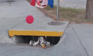 Clown in a Street Drain
