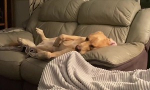 When the £100 Bed Just Doesn't Cut It