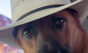 She's From Texas I Can Tell