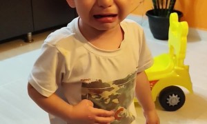 My Son and Cat Want the Same Toy