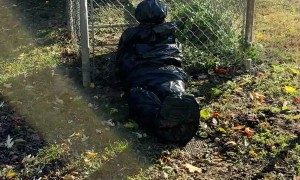 Halloween Decorations Taken Too Far?