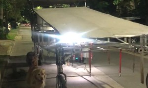 Practical Way To Exercise Multiple Dogs