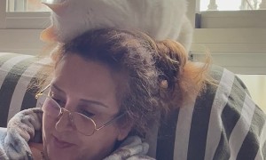 Cat Affectionately Smooshes Heads