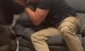 Man and Dog Reunited