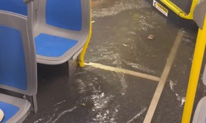 NYC Bus Drives Through Flooded Street