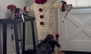 Malcolm Isn't a Fan of Dagger Mike