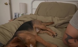 Bruno Doesn't Appreciate Pretend Eating