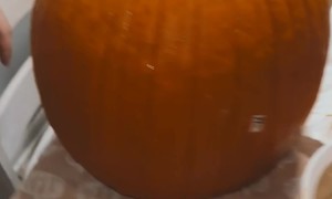 Rotten Pumpkin Ruins Carving Plans