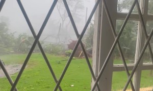 Hurricane Melissa Tears Up Backyard in Jamaica