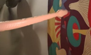 Silly Snake Tries to Get a Better Signal