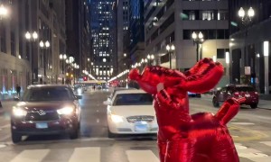 Balloon Animal Halloween Costume