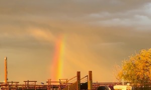 Rainbow Over a Tractor