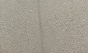 Dog Jumps At Meat Left On Windowsill