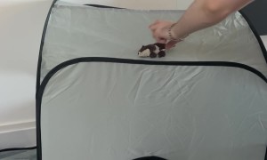 Kitty Hates It When Her Tent is Disturbed