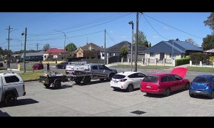 Magpie Assaults Aussie Bogan