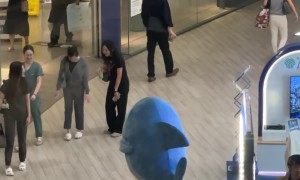 Shark Mascot Dances for Passers-By