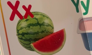 Chinese Word for Watermelon Starts With X