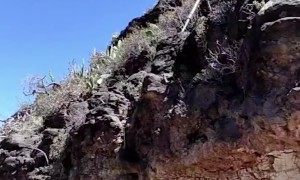 Man Demonstrates the "Shepherd's Leap"