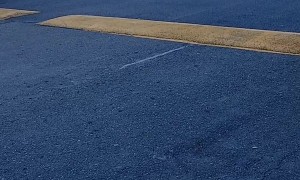 Lady Has a Major Crashes Out in a Grocery Store Parking Lot