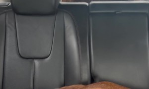 Boxer Dog Versus Rear Windshield Wiper