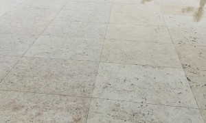 A Dog With No Brakes Slides in the Rain