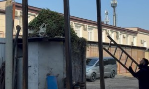 Man Drives Extremely Tall Car