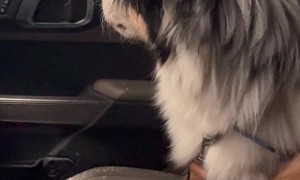 Naughty Aussie Gets Car Interior Cleaned At Car Wash