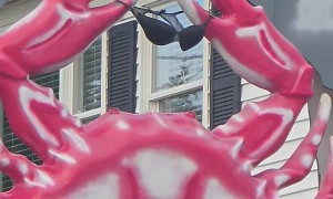 Bra in the Crab Claws at Victoria’s
