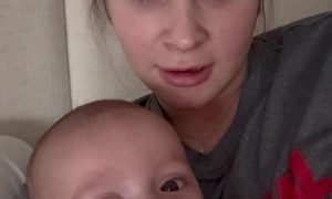 Baby Only Sleeps to Opera