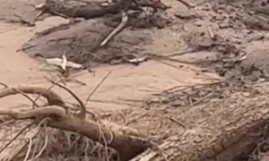 Drunk Mate Struggles To Get Ashore