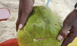 Coconut Seller Tells Client To Hit The Gym