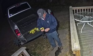 Neutered Cat Gets His Revenge