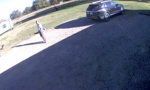 Dog Sweeps Girl Off Her Feet