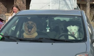 The Prius Has Never Looked Cooler