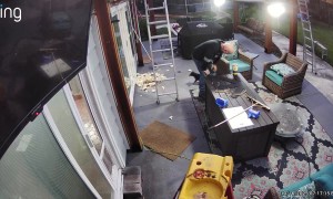 Ball Bounces Back and Hits Where it Hurts Most