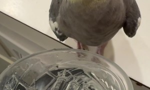 Waiting on That Fresh Sip