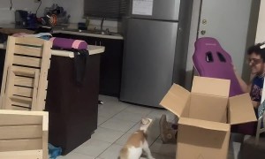 Third Time Wasn't a Charm