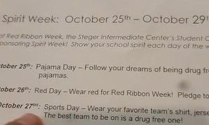 Realistic Expectations From School's Red Ribbon Week