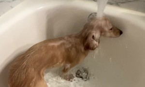 When You've Had a Long Week