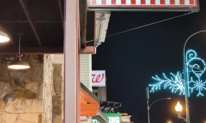 Five Guys Black Bear