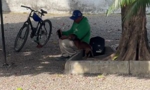 Worker Shows Puppy a Funny Video