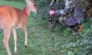 Hunting Safety Class for Deer