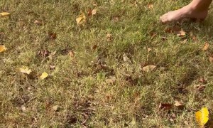 Man Catches a Mole by Hand