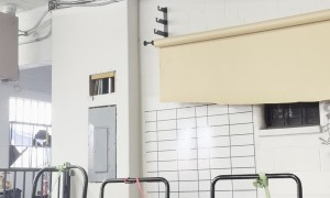 Chocolate Lab Loves The Slat Mill