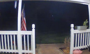 Late Night Trick or Treaters