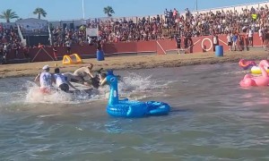 Bull Runs Loose on the Beach During Spanish Festival
