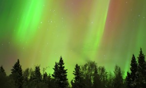 Colorful Aurora Over Fairbanks, Alaska